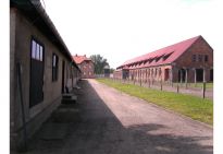 Auschwitz<br>2010 / Fotografie